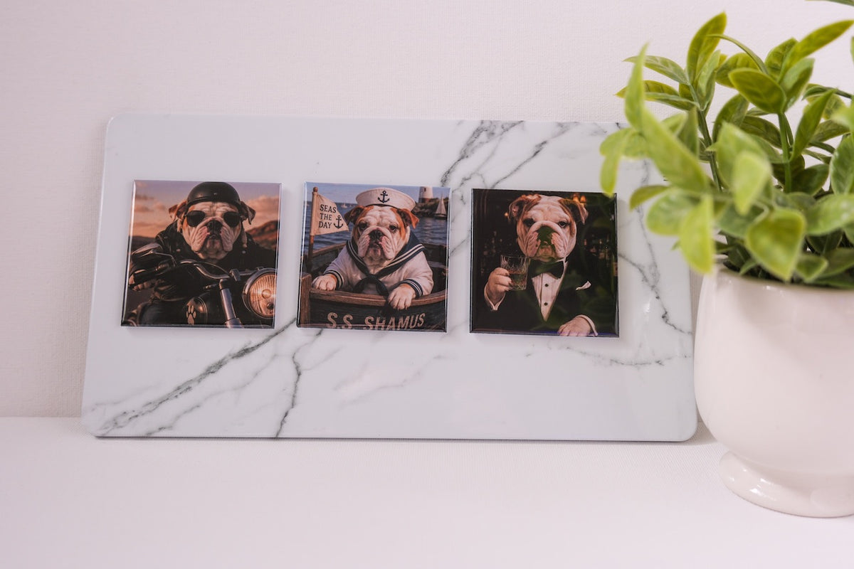 Surprise Pet Magnets: Custom Funny Dog Photos (4 pack)
