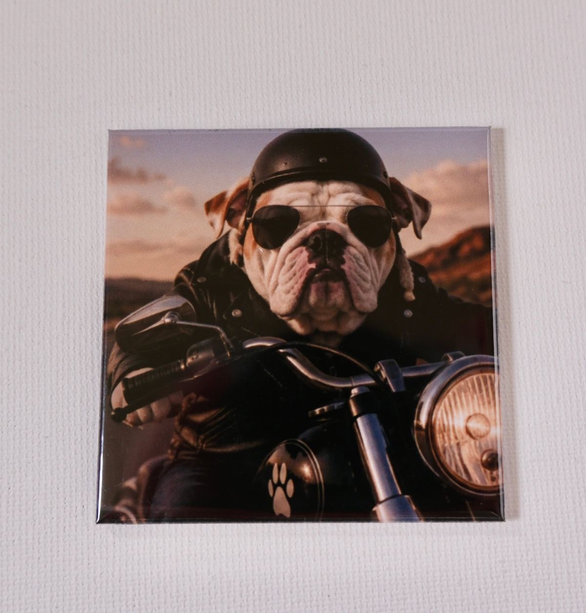 Surprise Pet Magnets: Custom Funny Dog Photos (4 pack)