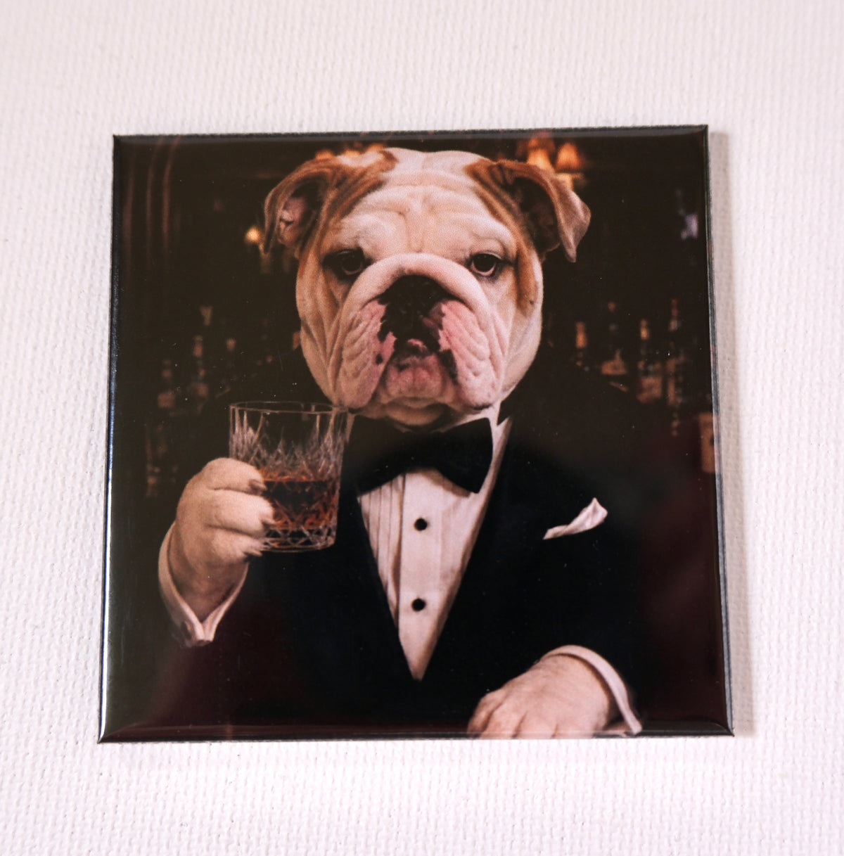Surprise Pet Magnets: Custom Funny Dog Photos (4 pack)