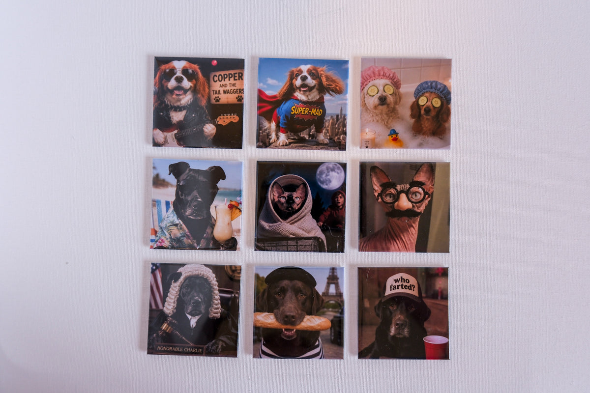 Surprise Pet Magnets: Custom Funny Dog Photos (4 pack)