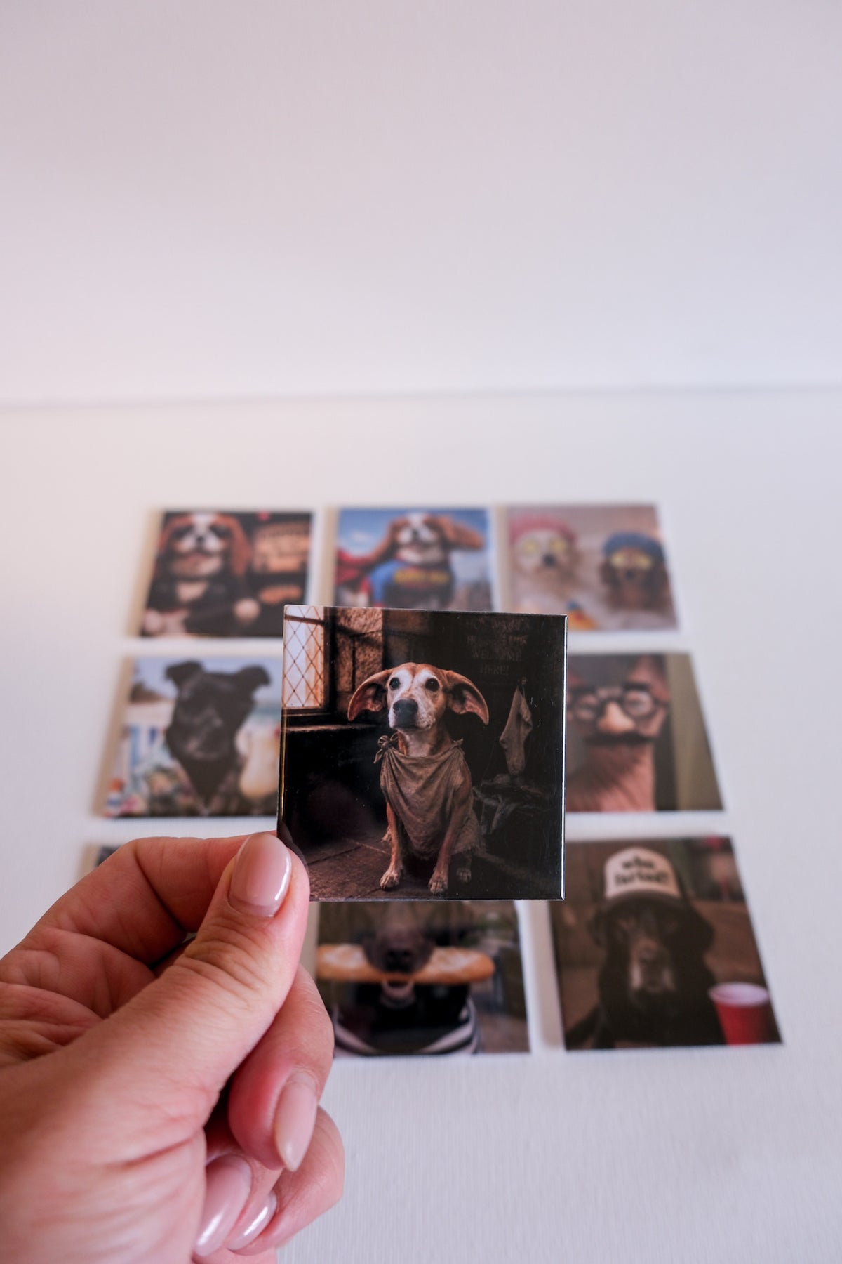 Surprise Pet Magnets: Custom Funny Dog Photos (4 pack)