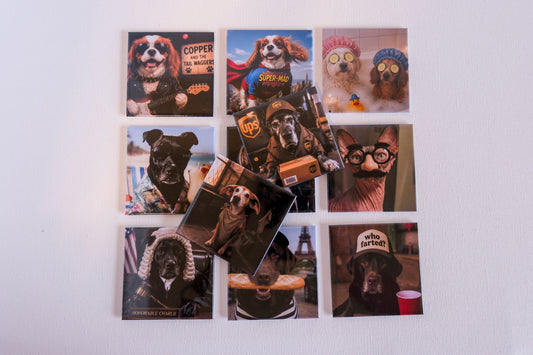 Surprise Pet Magnets: Custom Funny Dog Photos (4 pack)