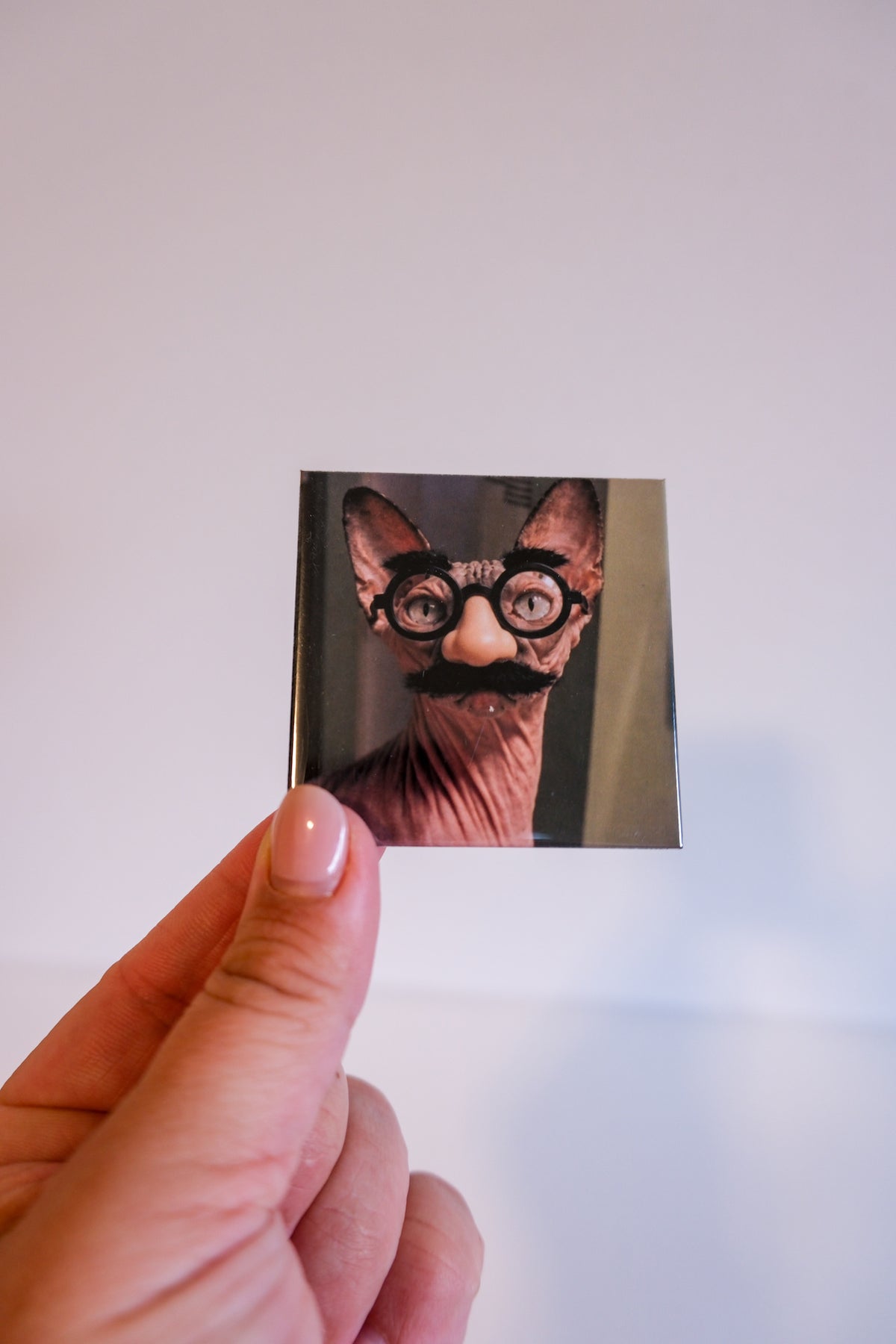 Surprise Pet Magnets: Custom Funny Dog Photos (4 pack)