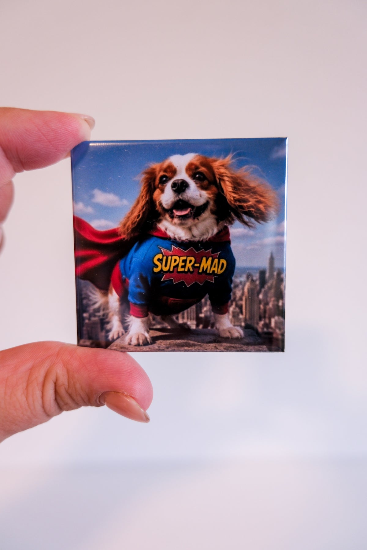Surprise Pet Magnets: Custom Funny Dog Photos (4 pack)