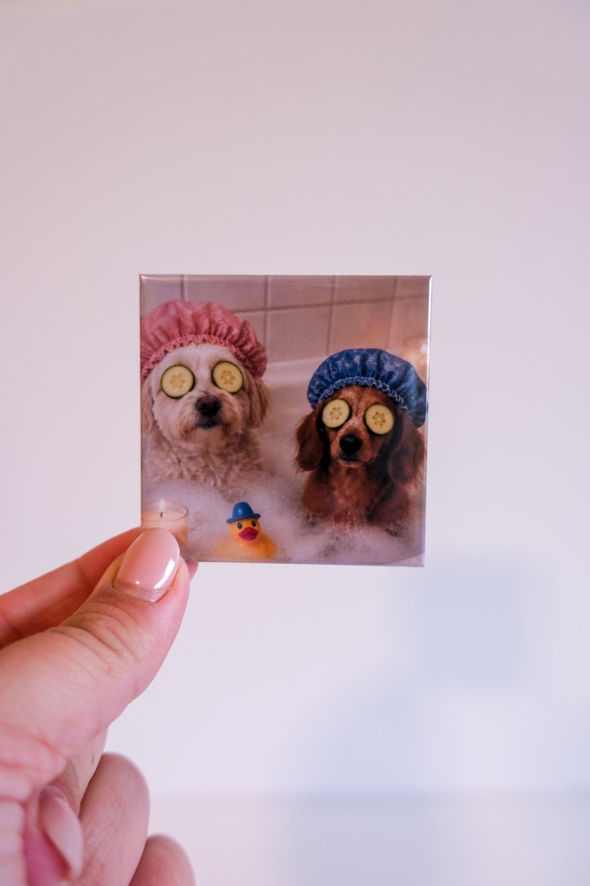 Surprise Pet Magnets: Custom Funny Dog Photos (4 pack)